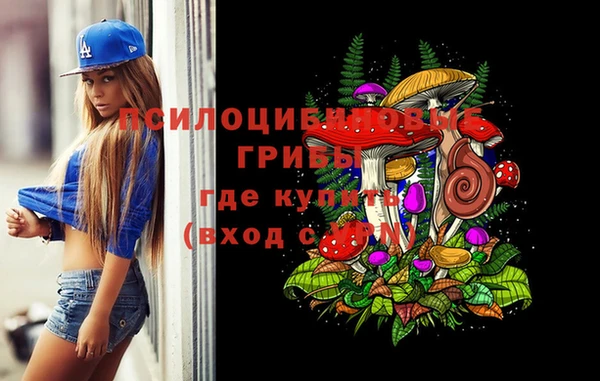 гидропоника Белокуриха