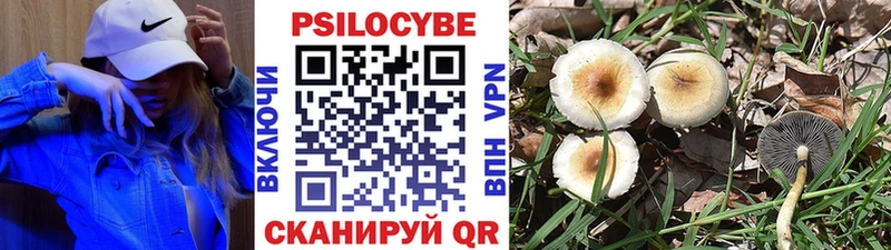 купить наркотик  Чишмы  кракен   Галлюциногенные грибы GOLDEN TEACHER 